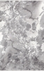 Resim 19112 096